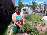 Food Policy Council Considers Community Gardens’ Future