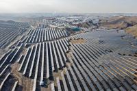Sino-Egyptian clean energy ties blossom under BRI