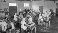 How did these Norwegian berries end up in Hull, Newcastle, and London 100 years ago?