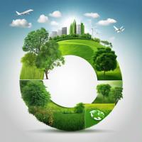 American Rubicon Carbon and Indonesia are implementing projects in the field of "blue carbon"
