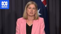 Government targets vulnerable species for bird flu vaccines
