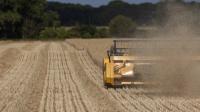 Editor’s note: UK heatwave fuels food security worries