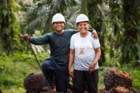 Certified Sustainable Palm Oil market share signals potential for 40%