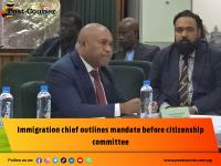 Immigration chief outlines mandate before citizenship committee