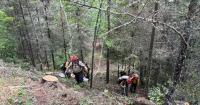 Minnesota wildfires: Superior National Forest reopening 73% of BWCA campsites