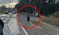 Bleak photograph of mother pushing a pram sparks claims Sydney suburb is a 'third-world country'