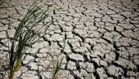British government warns: Drought hits most of England amid mounting concerns.