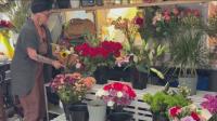 San Francisco flower vendor back on job after random assault on Market Street