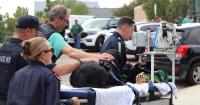 MSU pilots Michigan’s first medical transport program for working dogs