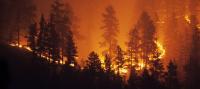 HHS Secretary declares public health emergency for wildfires in Washington 
