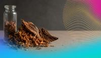 Ibogaine’s Moment Has Arrived. Are We Ready to Meet It?