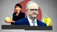 Japan trying to move on from Albanese’s ‘melons’ gaffe, former ambassador says