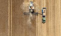 MINETTE BATTERS: What dustbowl Britain means for food supplies and the cost of your weekly shop
