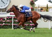 ‘Quality, Depth and Value’ to be Found at Tattersalls October Books 2, 3 and 4