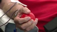 70 companies encouraged to give blood during Corporate Games