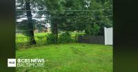 Maryland storms knock out power, topple trees