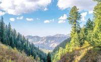 Galiyat turns white and green welcoming tourists for I-Day celebrations