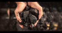Thermal power plants slash coal imports for blending by 71.5% in 3 years: Govt