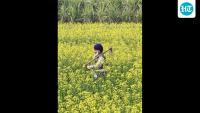 Guest Column | Beyond the crop: Why value addition is key to agri growth