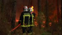 Russian Diplomat Rejects Claims Linking Moscow to French Wildfires