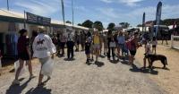 Mental health charity celebrates successful New Forest Show