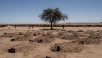Mass Graves Discovered After Sudanese Army Retakes Kurmuk