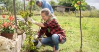 Gardeners urged to do 1 crucial task before 10am every day this week