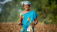 ITC To Adopt 100 Andhra Villages For Integrated Rural Development