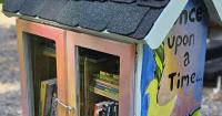 BHS students partner with local businesses to bring Little Free Libraries to Burlington's parks