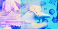 The Download: AI agents for science, and the “censorship-industrial complex”