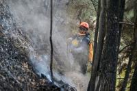 World AFP Schools closed as Indonesia battles wildfires