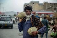 Afghanistan’s Hunger Crisis Deepens as Western Aid Retreats