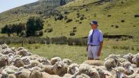 NZ sharemarket falls 0.2% amid National Party leadership uncertainty - Market close
