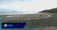 Kinghorn Beach faces losing bathing water status over pollution
