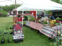 New Michigan Program Connects Local Farms With Marketing Help to Grow Sales