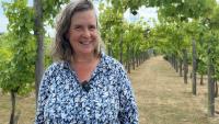 Kent named wine hotspot after 'perfect' weather