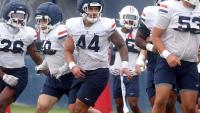 Arizona DL Prince Williams ‘is lightning in a bottle’