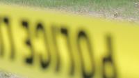 Man rushed to hospital after fall into Mesa canal
