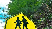 Florida’s Best Back to School Story Yet & Saving Grace for Voter ID – Top 3