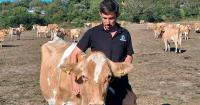 Dairy farmers feeding herds on silage meant for next winter
