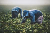 Michigan farm workers face increased anxiety over detention, deportation