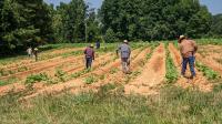 Detroit Evening Report: Survey finds that Michigan farmworkers fear ICE raids, deportation