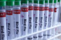 Australia to Roll Out Bird Flu Vaccines for Native Species