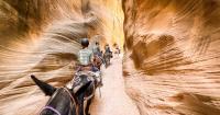 Utah teens are growing up city slickers. Cowboy Camp is a cure for that