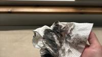 Soot falling across Hamilton contains toxic chemicals linked to burning coal, researchers find