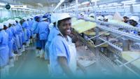 Commerce Ministry Acknowledges Gap in National Labour Workforce Data