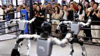 Unitree Shanghai listing tells tale of China's humanoid robots drive