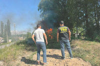 Over 2 tons of hemp destroyed in Osh region in five days