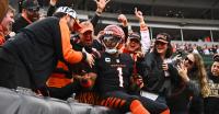 Bengals vs Lions: How to watch, game time, TV info, online stream, replay, and more
