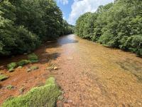 Artist Makes Drawings About the Red Moshannon — and Every Sale Helps Clean It Up